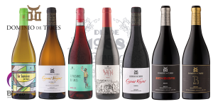 Los vinos de ... Dominio de Tares