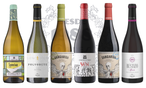 03 — Godello + Mencía del Bierzo