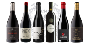 05 — Grandes Mencías del Bierzo