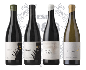 Los vinos de... Olga Verde Viñadora