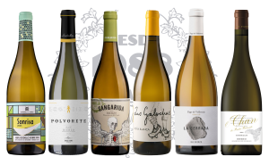 01 — Blancos del Bierzo