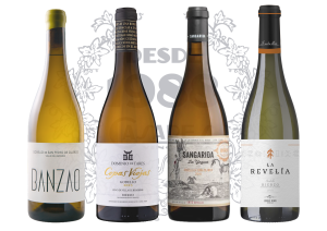 02 — Grandes Blancos del Bierzo