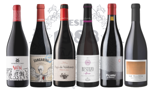 04 — Tintos del Bierzo