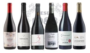 07 — Prieto Picudo Tinto