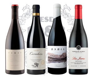 08 — Grandes Tintos de León