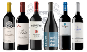 12 — Ribera del Duero Roble