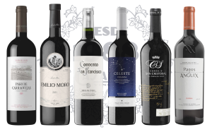 13 — Ribera del Duero Crianza