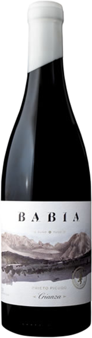 Babia Tinto Prieto Picudo / 75cl.