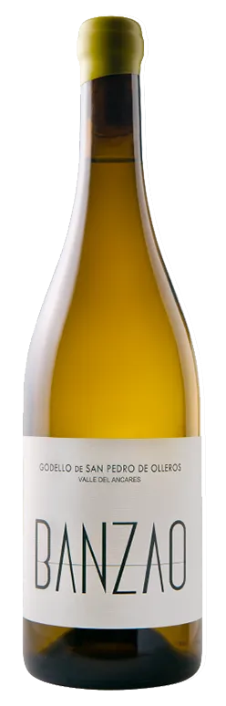 Banzao Godello VdV San Pedro de Olleros 2021 / 75 cl.