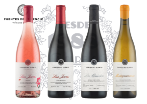 Los vinos... Fuentes del Silencio