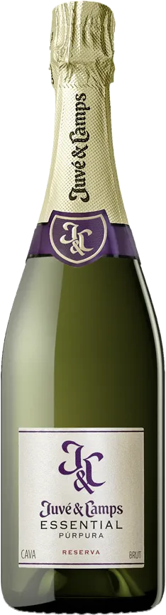 Juve & Camps Purpura Brut / 75 cl.