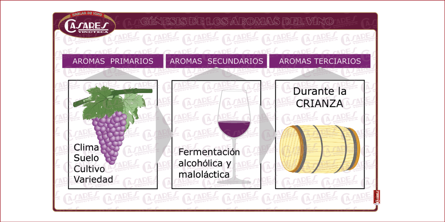 Génesis de los aromas